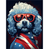 Cool Poodle with Sunglasses