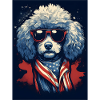 Cool Poodle with Sunglasses