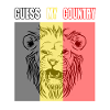 Belgium Belgian flag