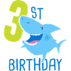 3e anniversaire garçon 3ans requin