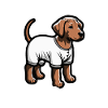Rhodesian Ridgeback Dog Rhodesian Ridgebacks