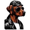 Rhodesian Ridgeback Cool Rhodesian Ridgebacks