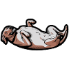 Rhodesian Ridgeback Yoga Rhodesian Ridgebacks