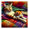 cat throw of tranquility