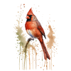 Nördlicher Kardinal Aquarell - Lebendiger Vogel