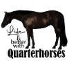 Quarterhorse Design Rappe