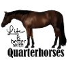 Quarterhorse Brauner