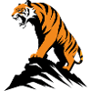 Tiger on a ledge