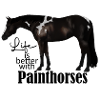 Painthorses Sticker Rappschecke