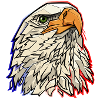 Weißkopfseeadler