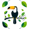 Toucan