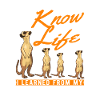 Erdmännchen Meerkat