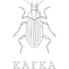 Franz Kafka - Livres Littérature