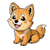 Découvrez le charmant chiot dingo