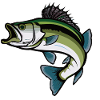 Springender Bass Fisch