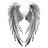 Angel Wings in white