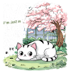 Not lazy - Energy Saving Kitty