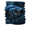 Tuna Thunfische Thunfisch