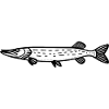 Pike 01
