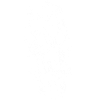 Skull Skateboard Funny