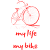 Bicycles and Motivation to Move