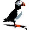 Puffin