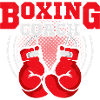 Boxing Coach Training Boxer