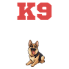 Moving Wrong, Getting Bitten Canine