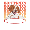 Brittany Epagneul Breton Dog Gift