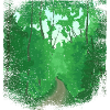 Waldweg mit ausgefranstem Rand
