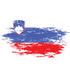 Slovenia flag used