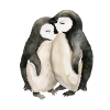 loving penguins