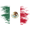 Mexico flag used