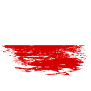 Poland flag used