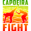 Capoeira Fight