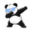 Panda Panda Bear Funny