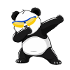 Panda Panda Bear Funny