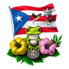Puerto Rico Boricua Flag