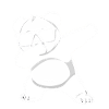 Panda Panda Ours Drôle