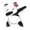 Panda Panda Bear Funny