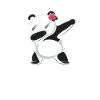 Panda Panda Ours Drôle