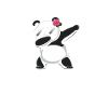 Panda Panda Bear Funny