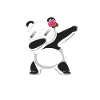 Panda Panda Bear Funny
