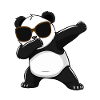 Panda Panda Bear Funny