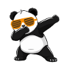 Panda Panda Ours Drôle