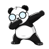 Panda Panda Ours Drôle