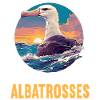 Albatross Albatrosse Albatros