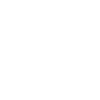 Developer Coder Programmer