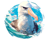 Albatross Albatrosse Albatros