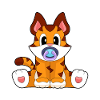 Tiger Baby Pacifier